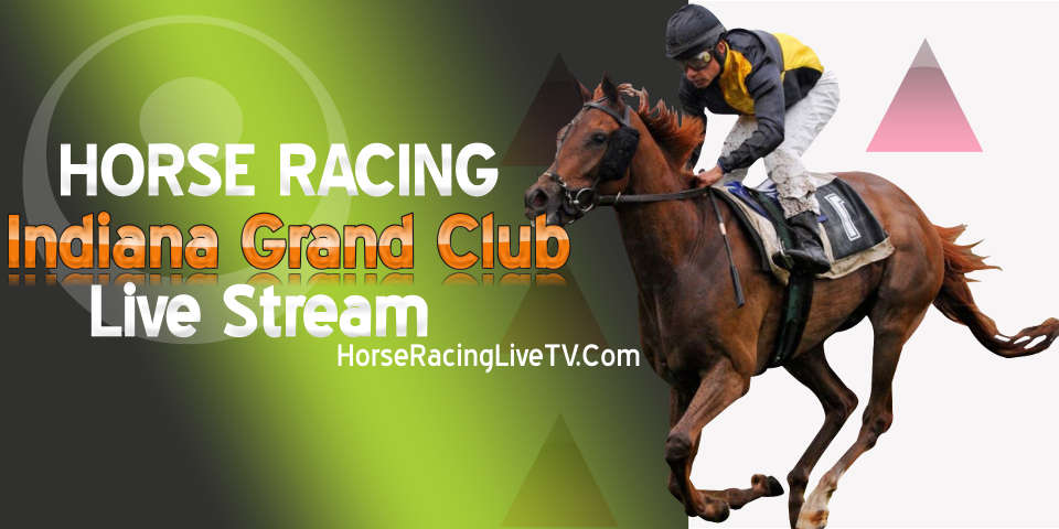 Horse Racing Results - Daily Result of All Horse Racing Clubs From